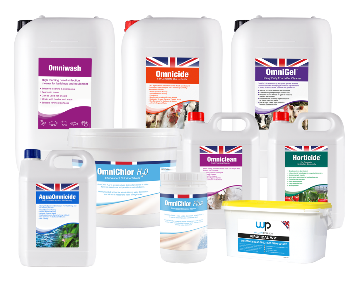 Product group shot