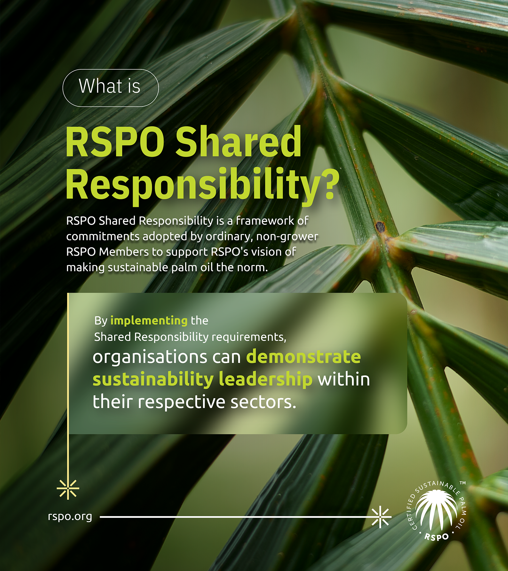 RSPO_What_Is_Shared_Responsibility